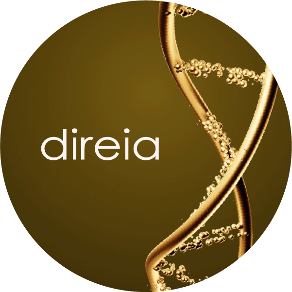 サイトOPENしました